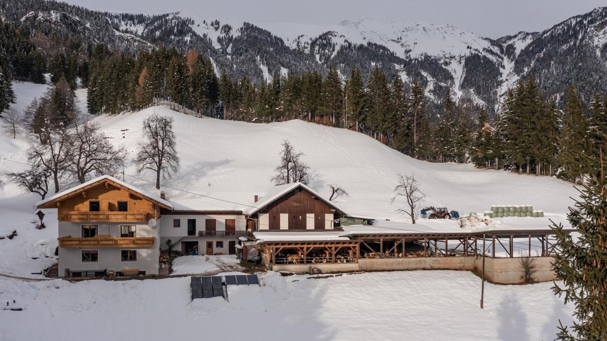 Bio-Bergbauernhof Weger Apartment Dellach  Luaran gambar