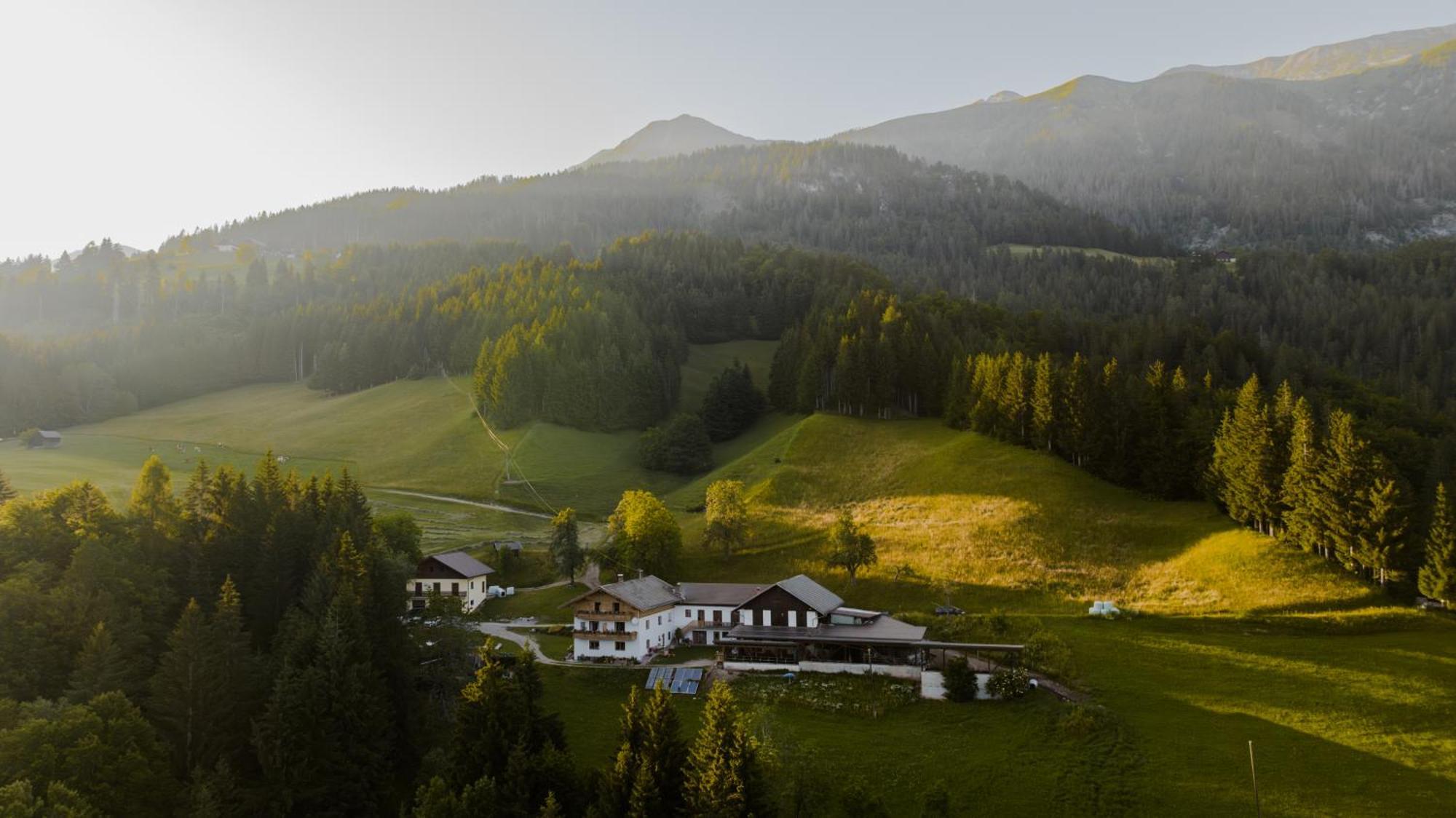 Bio-Bergbauernhof Weger Apartment Dellach  Luaran gambar
